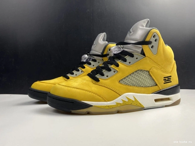 Chep Onekick Air T23 5 454783-701 Retro Jordan Tokyo 0817